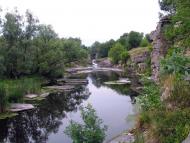 Буки з panoramio.com - Буки