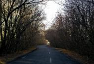 Золота Поляна з panoramio.com