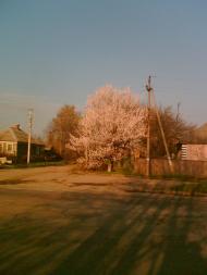 Дзержинське з panoramio.com