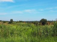 Верхня Кринка з panoramio.com