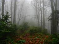 Карпатське з panoramio.com