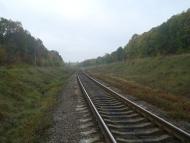 Буйволівці з panoramio.com