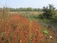 Малософіївка з panoramio.com