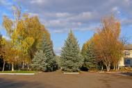 Білокуракине з panoramio.com