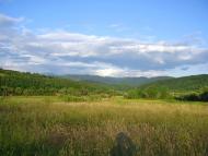 Павлово з panoramio.com