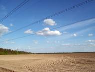 Тарасенки з panoramio.com - Тарасенки
