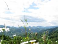 Вишній Дубовець з panoramio.com