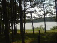 Рудня-Городищенська з panoramio.com