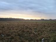 Велика Дівиця - Останні фото