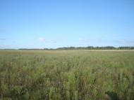 Зірка з panoramio.com