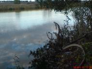 Змійове з panoramio.com