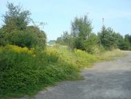 Шпиколоси з panoramio.com