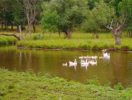 Козубівка з panoramio.com