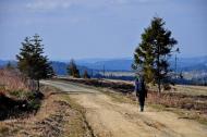 Сянки з panoramio.com - Сянки