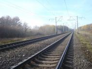 Рідкодуби з panoramio.com