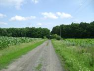 Шийки з panoramio.com