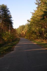 Пушкарівка з panoramio.com