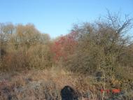 Добротимофіївка з panoramio.com