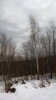 Ярок з panoramio.com - Ярок