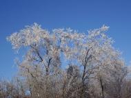 Олександропілля з panoramio.com