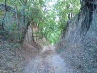 Араповичи з panoramio.com