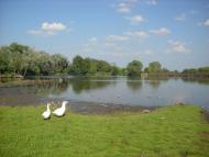 Борятин з panoramio.com