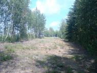 Білотин з panoramio.com