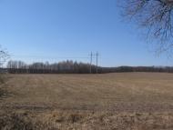 Малинівка з panoramio.com