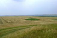 Новий Стародуб з panoramio.com