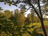 Тернавка з panoramio.com