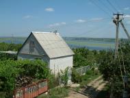 Трихати з panoramio.com