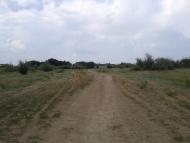 Лиманське з panoramio.com