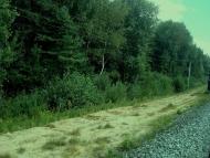 Рудня-Новенька з panoramio.com