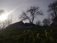 Тернавка з panoramio.com