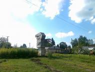 Новий Витків з panoramio.com