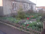 Софіївка з panoramio.com