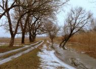 Розкішне з panoramio.com