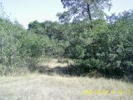 Валуйське з panoramio.com