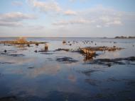 Кедина Гора з panoramio.com