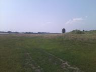 Степанівка з panoramio.com