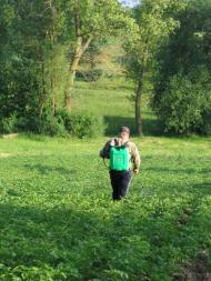 Колесники з panoramio.com