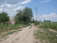 Куна з panoramio.com