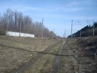 Радівці з panoramio.com