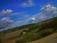 Ароматне з panoramio.com