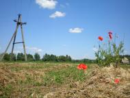 Мисайлівка з panoramio.com