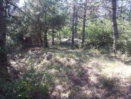 Мазанка з panoramio.com