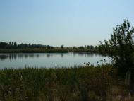 Новозлатопіль з panoramio.com