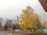 Хроли з panoramio.com