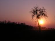 Мелені з panoramio.com