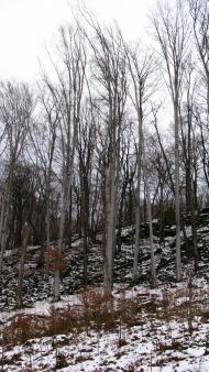 Ворочово з panoramio.com - Ворочево
